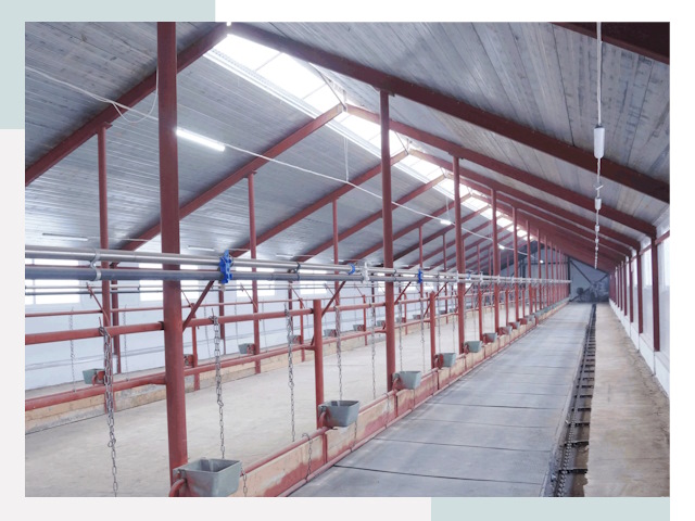 Строительство коровников в Саяногорске от 615 руб.