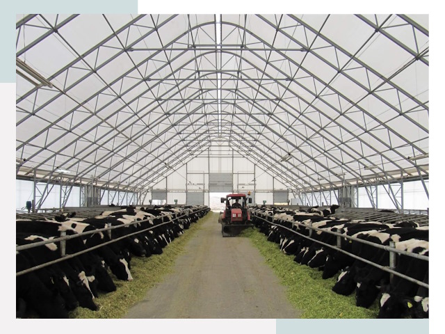 Тентовые коровники в Саяногорске от 615 руб. - Надежно и доступно